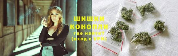 бошки Елабуга