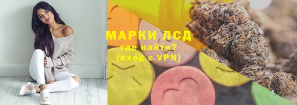 бошки Елабуга