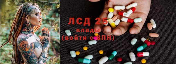 бошки Елабуга