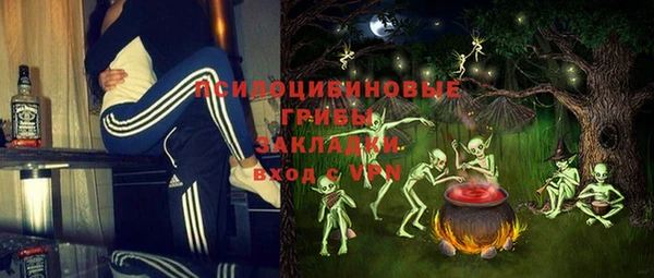 2c-b Елизово
