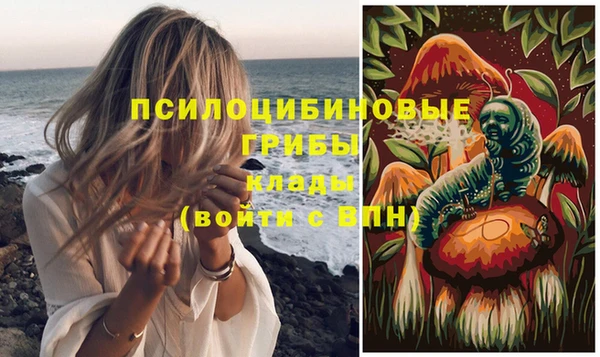 кристаллы Ельня