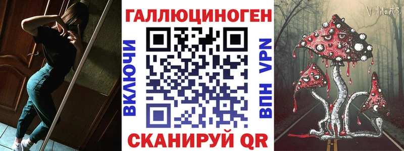 Галлюциногенные грибы Psilocybe  Купить закладки  Питкяранта 