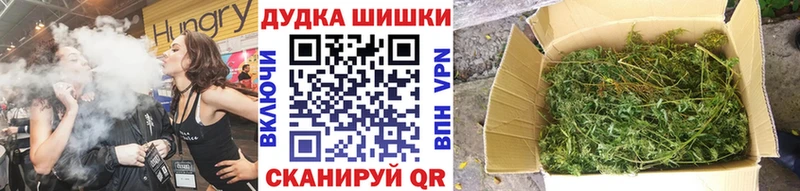 Бошки Шишки планчик  Купить закладки  Питкяранта 